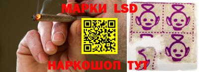apvp Обнинск