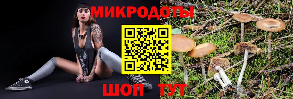 Псилоцибиновые грибы мухоморы Тавда