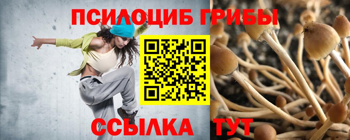 Псилоцибиновые грибы прущие грибы  Вход с VPN  продажа наркотиков  Галлюциногенные грибы ЛСД  Тавда 